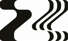 Zalmon Fabric
